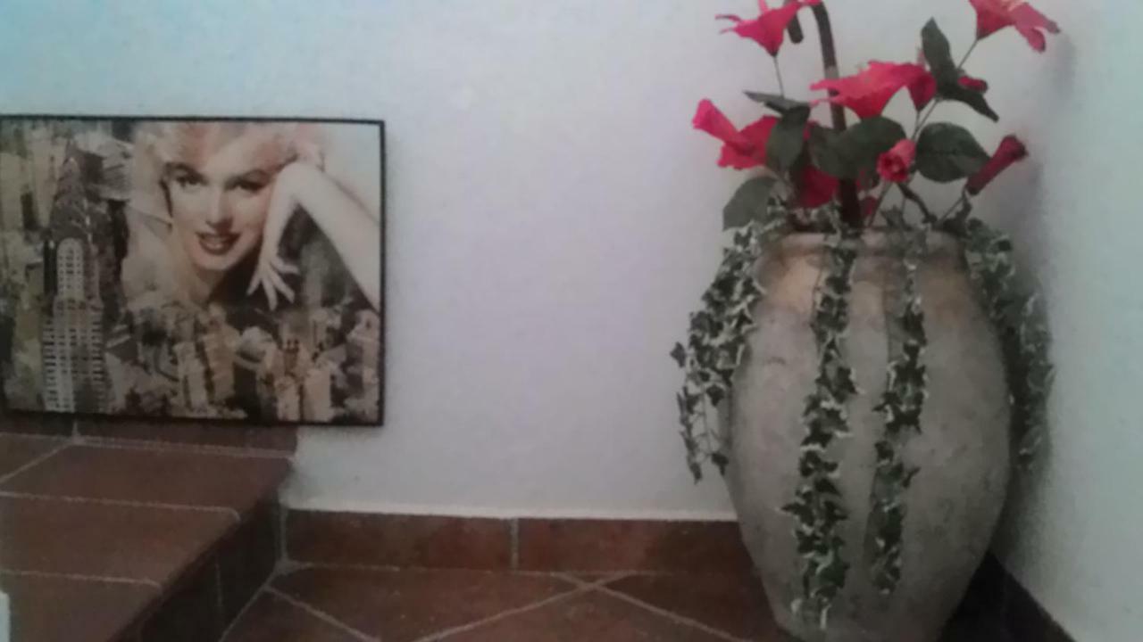 Bed and Breakfast Ca Da Nonna Pareto Exteriér fotografie